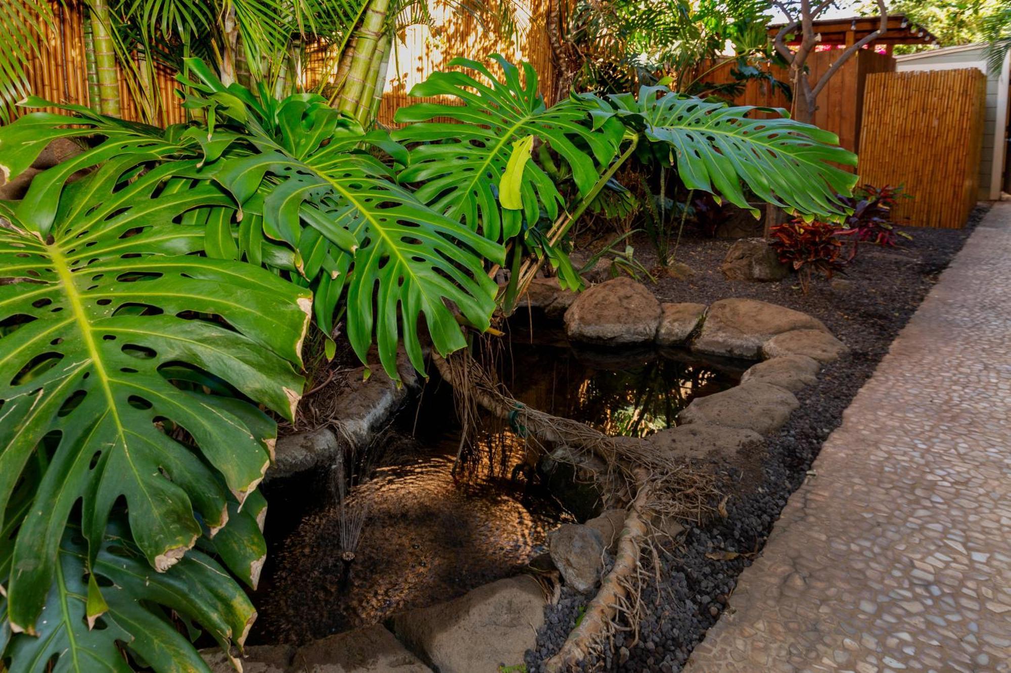 Apartment Lotus In A Boutique Resort, 1bedroom Sleeps 4 Kihei