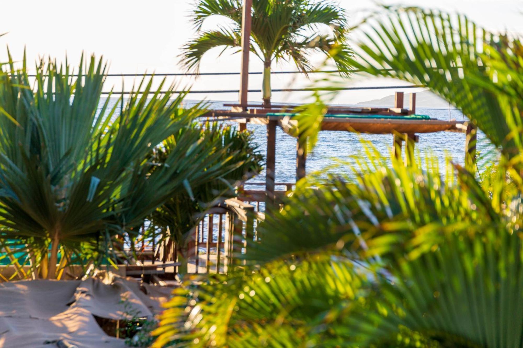 Apartment Lotus In A Boutique Resort, 1bedroom Sleeps 4 Kīhei